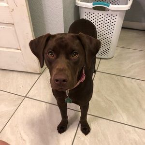 Meet your Posher, Tyler